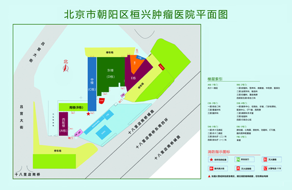 男性的jj插入女性的阴道的视频北京市朝阳区桓兴肿瘤医院平面图